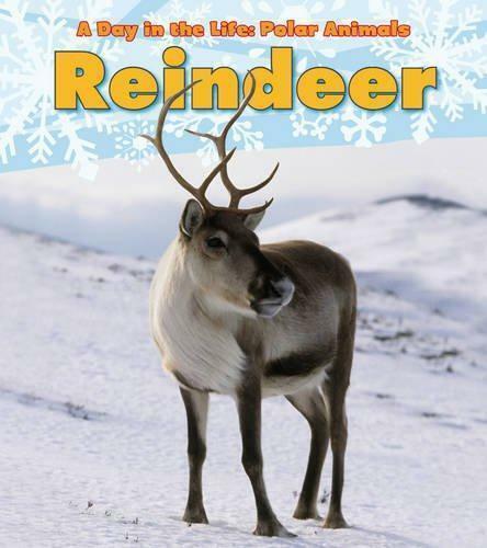 Reindeer (A Day in the Life: Polar Animals), Katie Marsico, Boeken, Taal | Engels, Gelezen, Verzenden