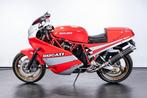 Ducati - 750 Sport - 1989, Motoren