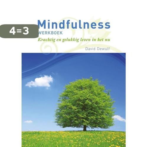 Mindfulness werkboek 9789086792610 David Dewulf, Boeken, Psychologie, Gelezen, Verzenden