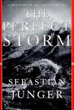 The Perfect Storm 9780393040166 Sebastian Junger, Boeken, Verzenden, Gelezen, Sebastian Junger