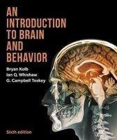 An Introduction to Brain and Behavior | 9781319243562, Boeken, Studieboeken en Cursussen, Verzenden
