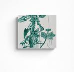 N. Magro - “Botanischer Garten Der Universität Basel