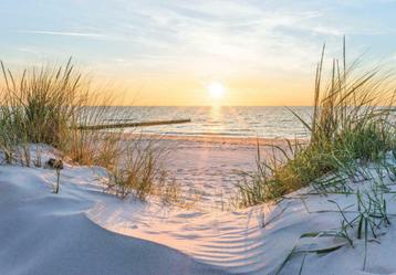 Strand behang Zonsondergang beschikbaar voor biedingen