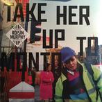lp nieuw - RÃ³isÃ­n Murphy - Take Her Up To Monto!, Verzenden, Zo goed als nieuw