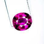 Zonder Minimumprijs Granaat - 3.76 ct - International, Nieuw