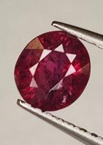 Rood Robijn - 1.08 ct - Antwerp Laboratory for Gemstone, Sieraden, Tassen en Uiterlijk, Edelstenen, Nieuw