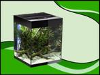 Aquael Glossy cube 50 D&N zwart aquarium, Nieuw, Leeg aquarium, Verzenden