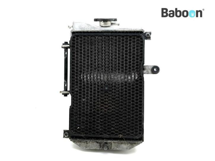 Radiateur Suzuki AN 650 Burgman 2002-2004 (AN650), Motoren, Onderdelen | Suzuki, Gebruikt, Verzenden