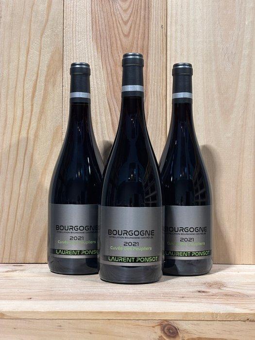 2021 Laurent Ponsot - Bourgogne Rouge - Bourgogne - 3, Verzamelen, Wijnen