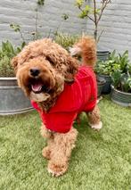 Honden Badjas Rood ALLEEN MAAT  L (Hondenkleding), Dieren en Toebehoren, Ophalen of Verzenden, Nieuw, Hondenbadjas
