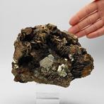 Grote goudkleurige pyriet met siderietkammen, Piemonte!