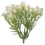 Gipskruid cluster 10 cm kunstbloem. grote zak +/- 24 st voor, Ophalen of Verzenden, Nieuw