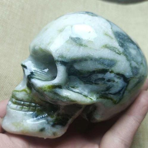 Snijwerk, Burmese jade skull - 10.7 cm - Myanmarees jade, Verzamelen, Dierenverzamelingen