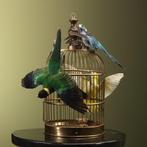Parkiet Taxidermie volledige montage - - - 60 cm - 43 cm -, Nieuw