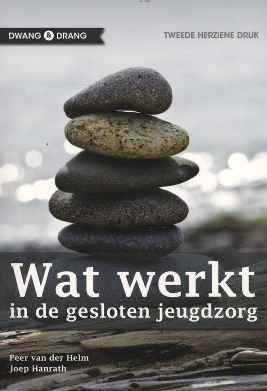9789088503771 Wat werkt | Tweedehands, Boeken, Schoolboeken, Zo goed als nieuw, Verzenden