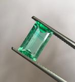 1 pcs Groen Smaragd - 1.56 ct - International Gemological, Nieuw