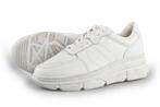 Cellini Sneakers in maat 40 Wit | 10% extra korting, Kleding | Dames, Schoenen, Gedragen, Wit, Sneakers of Gympen, Cellini