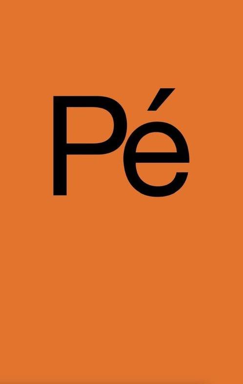 9789090383552 Pe Piet Hoefsloot Astrid Brummer, Boeken, Biografieën, Nieuw, Verzenden