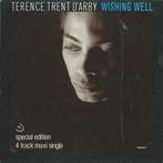12 inch gebruikt - Terence Trent DArby - Wishing Well, Zo goed als nieuw, Verzenden