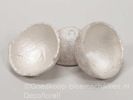 Coconut coco shell half cut white pearl zak10 stuks, Hobby en Vrije tijd, Knutselen, Nieuw, Ophalen of Verzenden