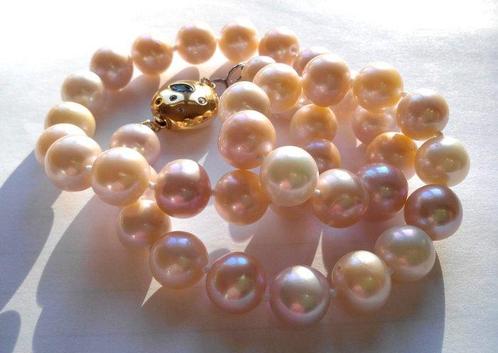 Zonder Minimumprijs - Halsketting 375 / 9 kt Geelgoud -, Sieraden, Tassen en Uiterlijk, Kettingen