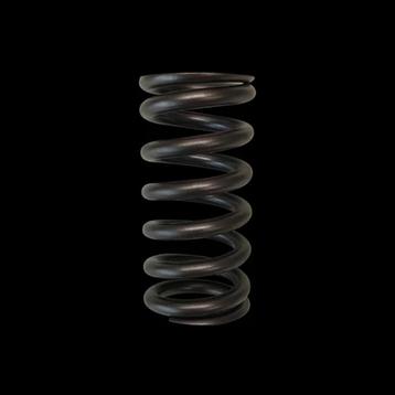 Brian Crower Toyota 2ZZFE Single Valve Spring - BC1350 beschikbaar voor biedingen