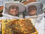 Bijen in Bijenkast met GRATIS Online Imker Cursus, Bijen