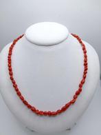 Bloedkoraal Koraal - Corallium rubrum (Zonder minimumprijs), Antiek en Kunst