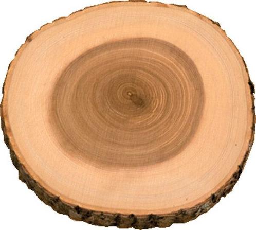 Plateau hout essen 27-28 cm rond, Zakelijke goederen, Horeca | Keukenapparatuur, Nieuw in verpakking, Verzenden