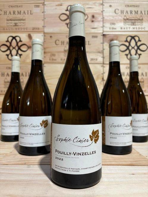 2022 Domaine Sophie Cinier - Pouilly-Vinzelles - 6 Flessen, Verzamelen, Wijnen