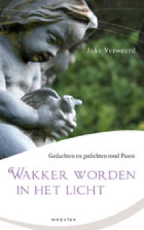 Wakker worden in het licht 9789023993704 Joke Verweerd, Boeken, Godsdienst en Theologie, Zo goed als nieuw, Verzenden