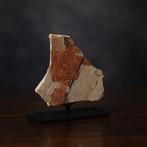 Het oude Egypte, een kalksteenfragment met een zeeman in een