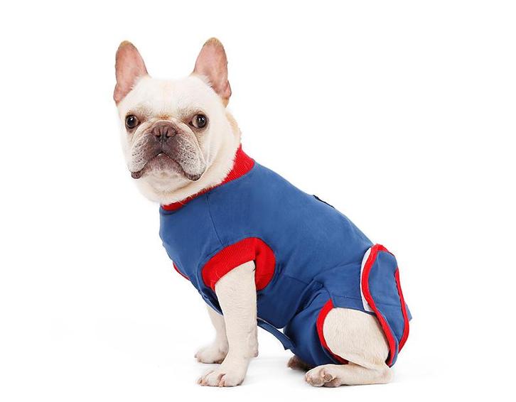 Honden Romper voor na de operatie Blauw/Rood (Hondenkleding), Dieren en Toebehoren, Hondenkleding, Overige hondenkleding, Nieuw