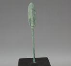 Oost-Aziatisch Brons Arrowhead (Zonder Minimumprijs)