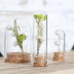 Mini dome Ø2 cm h.7 cm 12 stuks set stolpje met kurk, Ophalen of Verzenden, Nieuw