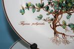 Villeroy & Boch - Botanica - Ontbijtbord (6) - Vitro