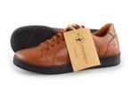 Midori Sneakers in maat 37 Cognac | 25% extra korting, Kleding | Dames, Schoenen, Overige kleuren, Verzenden, Nieuw, Sneakers of Gympen