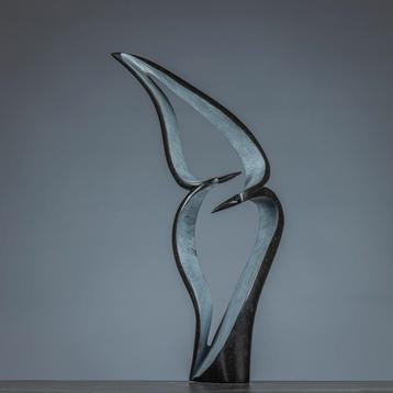 Two flying birds beschikbaar voor biedingen