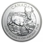 Canadian Wildlife - Pronghorn Antelope - 1 oz 2013, Postzegels en Munten, Munten | Amerika, Zilver, Losse munt, Verzenden, Noord-Amerika
