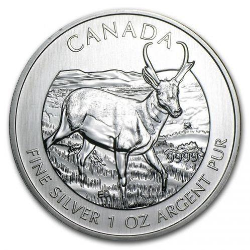 Canadian Wildlife - Pronghorn Antelope - 1 oz 2013, Postzegels en Munten, Munten | Amerika, Noord-Amerika, Losse munt, Zilver