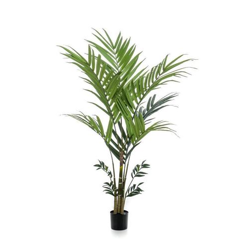 Kunstplant - Kentia -Kentiapalm - 180 cm, Huis en Inrichting, Woonaccessoires | Wanddecoraties, Nieuw, Verzenden