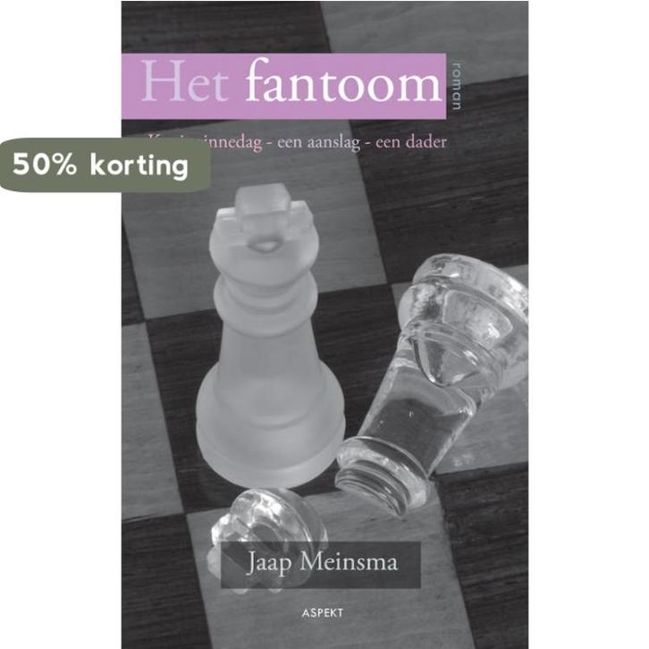 Het fantoom 9789059117914 Jaap Meinsma, Boeken, Literatuur, Zo goed als nieuw, Verzenden