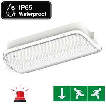 LED Noodverlichting | LED Vluchtweg verlichting | LED Nood beschikbaar voor biedingen
