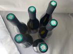 2022 Sylvain Pataille Bourgogne Aligoté - Bourgogne - 6, Nieuw