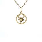 Gouden vintage schorpioen hanger 14 krt, Ophalen of Verzenden, Nieuw
