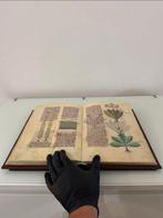 Italië - Modena; IMAGO - Faszination Heilpflanzen Grand