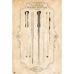 Poster Harry Potter The Wand 61x91,5cm, Verzamelen, Verzenden, Nieuw, A1 t/m A3