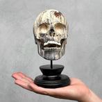 Snijwerk, NO RESERVE PRICE - Stunning Wooden Human Skull