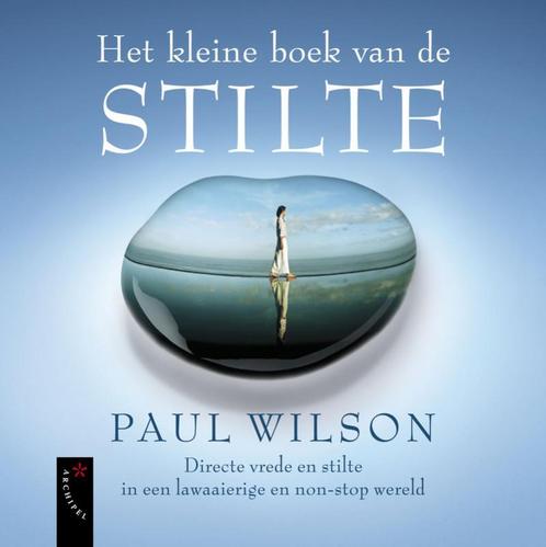Het kleine boek van de stilte 9789063053338 P. Wilson, Boeken, Psychologie, Gelezen, Verzenden