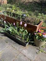 Te huur: Appartement Hoofdstraat in Driebergen-Rijsenburg, Huizen en Kamers, Driebergen-Rijsenburg, Utrecht, Appartement